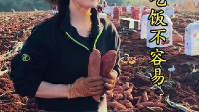 靠天吃饭不容易 