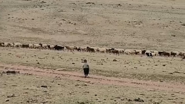 小手杈库兜，挺有气质[龇牙]