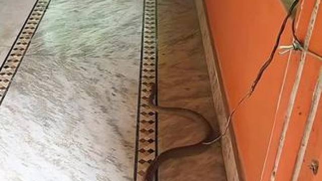 #真实户外 #万万没想到 #抖音商城话费