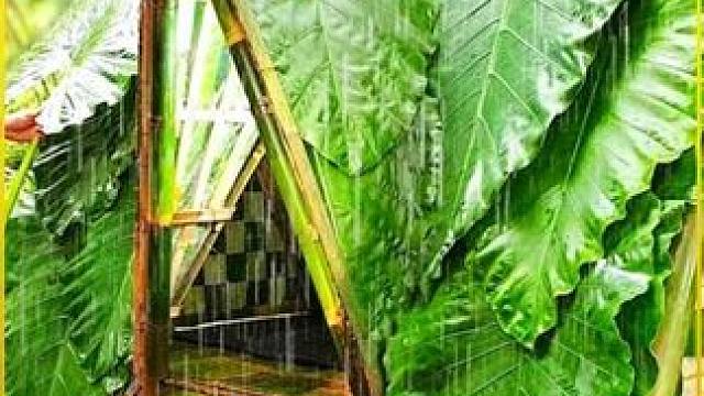 没见过这么硬核的男人，每搭建一座庇护所外面必须大暴雨！ #荒野建造 #解压助眠 #露营