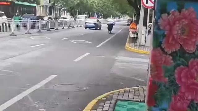 人也是，扬脸走路，哈哈