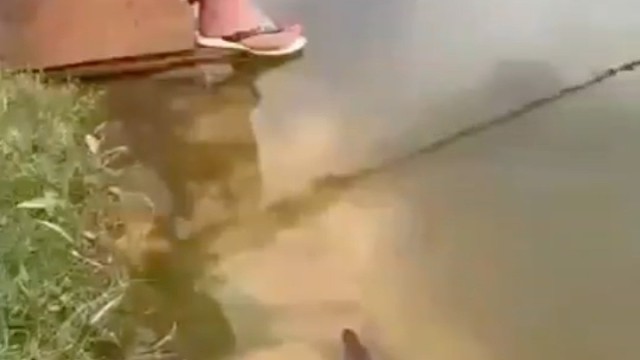 你看我，我看你，互相陪伴，愉快玩耍。