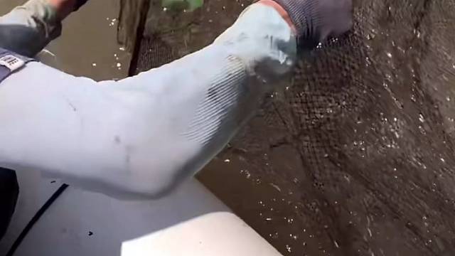 #户外捕鱼大队 #捕鱼河边随拍 #捕捞现场  #丝网捕鱼