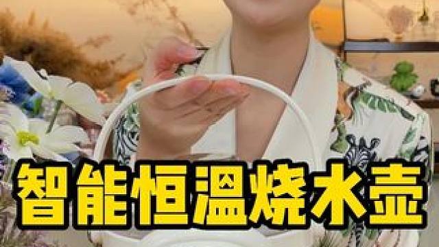 智能恒温电热烧水壶 #恒温烧水壶  #电水壶  #智能烧水壶