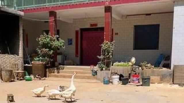 小时候向往城市里的喧器和繁华，长大后却更爱这平凡的乡村烟火气，在这里的生活是晨起暮落，日子是柴米油盐