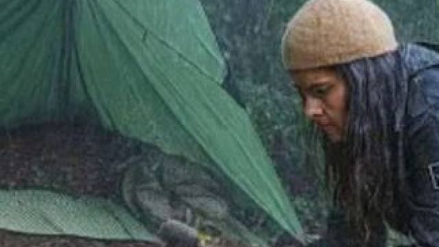 最疯狂的雨中露营——独自一人在岩石和树下露营。#雨中露营 #野外露营 #启发搜索激励计划 #解压助眠