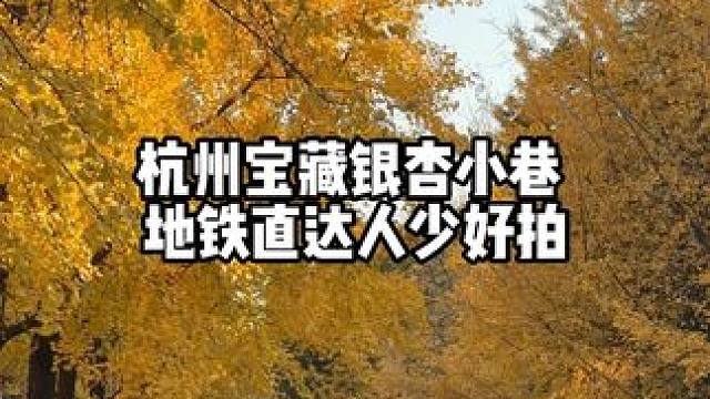 杭州地铁直达小众宝藏银杏小巷，位置在文菁路，翠苑中学旁边，地铁坐到翠柏路B口走过去几分钟，这两天银杏