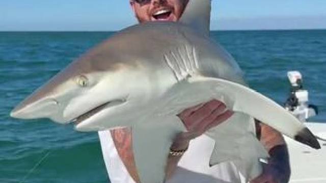 小伙钓到了一条大鲨鱼 #抖音看世界 #神奇动物在抖音 #国外视频分享 #好大一条鱼 #钓鱼人就是这么