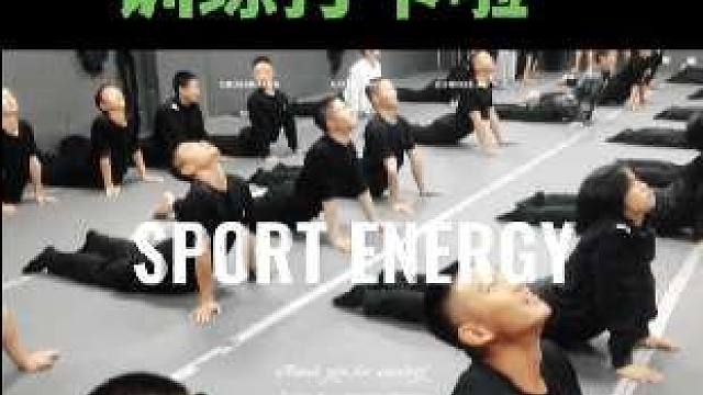 武术散打、功夫