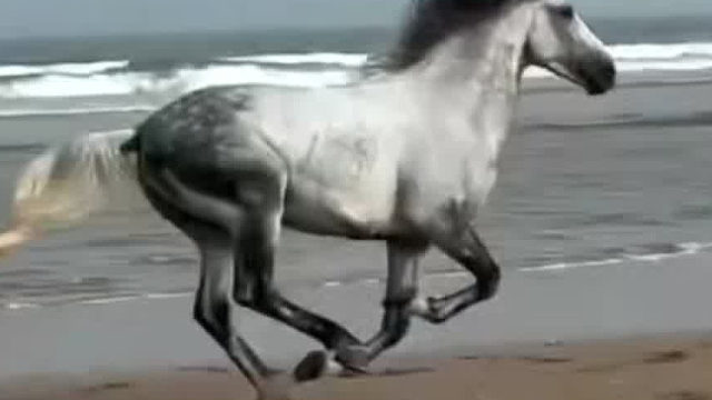 你可知道我爱你想你怨你念你深情永不变