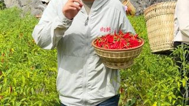 说我们小面调料卖的贵的，一定要知道一分价钱一分货的道理#小面调料