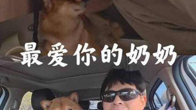 我陪绝症狗狗生命倒计时……vol.3