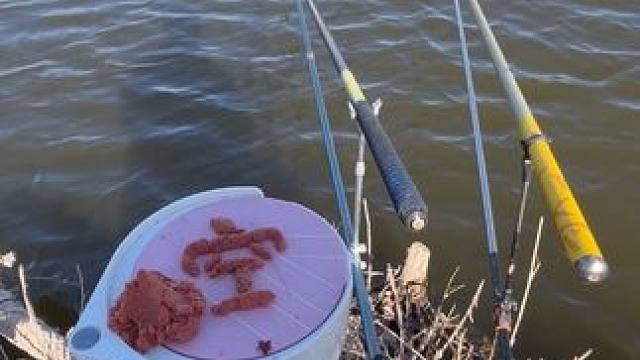 来喽来喽 跑酷守钓人《板鲫连杆》！
#钓鱼的乐趣只有钓鱼人懂 #鲫鱼 #钓鱼人就是这么疯狂