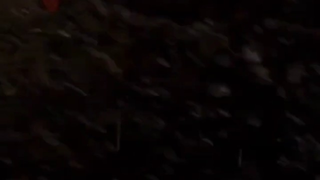 又是疲惫的一天过去了，睡一觉明天继续拼，朋友们给我加油一下好吗