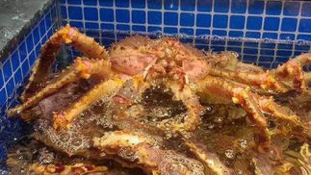 那个都是帝王蟹的牙齿吧？ #海鲜 #帝王蟹 #涨知识 #随拍 #路人视角