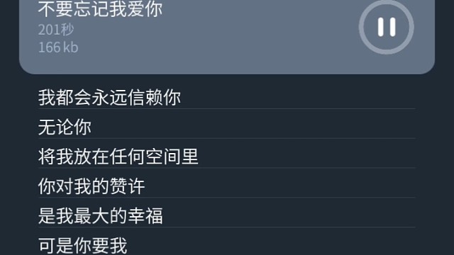 不要忘记我爱你