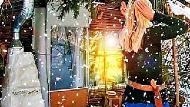 冬天独自住在野外芦苇屋里露，喂鸟，放松身心。