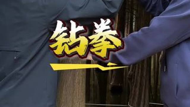 形意五行拳，钻崩结合，水木相生 钻拳核心要义：见缝插针，一击即中！#形意拳 #六合螳螂拳 #传统武术