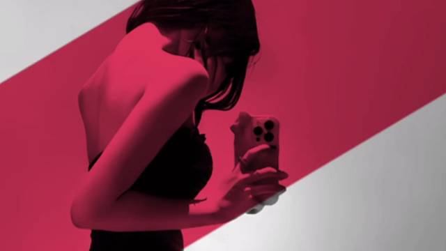 玫瑰不必长成松柏我们生而自由平等