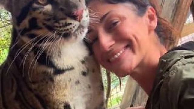 美女的宠物云豹 #神奇的动物分享 #创作者中心 #创作灵感 #宠物 #抖音看世界