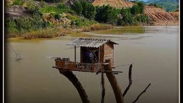 钓鱼佬看到这样的住所直接走不动道 #树屋庇护所 #钓鱼佬 #放心借 #放心借福利