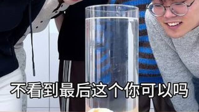 视频不看最后你指定不行