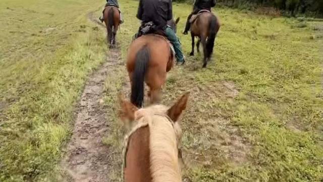 冠军乔0907为热爱记录美好生活