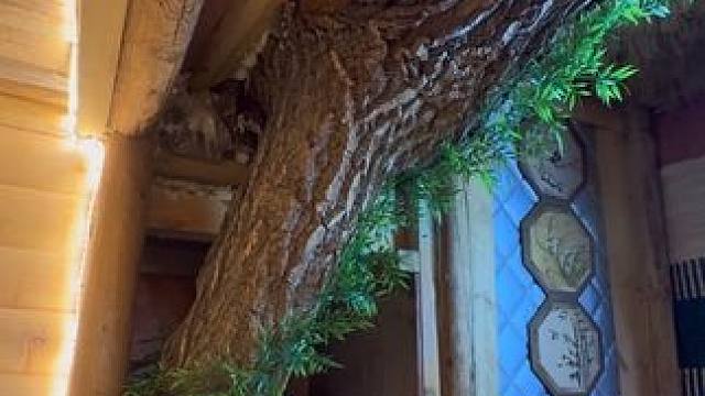 住进自己亲手搭建的荒野豪华庇护所 真的是太舒服了 #野外建造 #荒野建造 #荒野独居 #野外豪华庇护