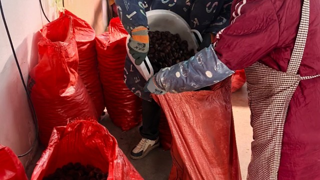 感谢大哥大姐们支持两吨多食物