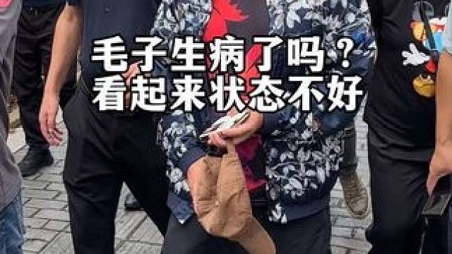 你们认识他吗？毛子老师状态看起来不太好