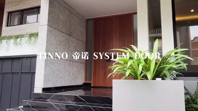 双开肌理：一推，便撞进质感里#TINNO帝诺系统入户门 #别墅门 #系统门 #上海