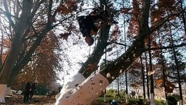 #大自然 #跑酷#自然