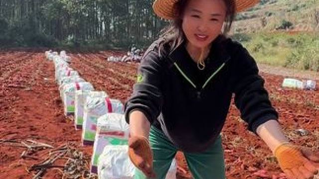 12月18号下午两点十八分现场直播