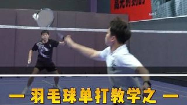 30秒教会你！打高手都能用到的——假放真推 #羽毛球  #羽毛球教学  #羽毛球技术  #单打