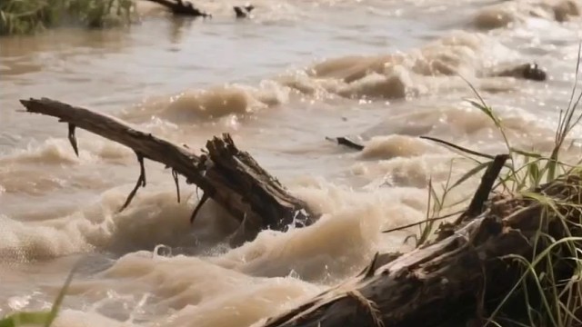 重生之我跟大禹治水
