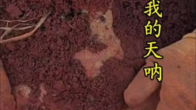 我的天呐 啥宝贝呀？