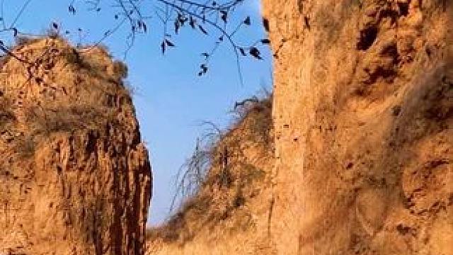 村里的风景，虽平淡，但耐看。也许生活并不便利，却最温暖的治愈。长大后才明白，平凡无奇的小村里藏着最惬