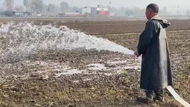 你不会懂父母的
                父母的“哪能年年旱里”藏着多少无奈  #河南 #干旱