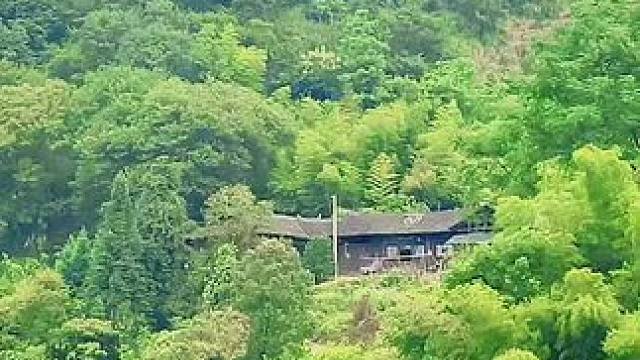 出生在这样的环境下，当今还有多少人能够逆风翻盘走出来？#大山深处自然美山清水秀好风光 #我的乡村生活