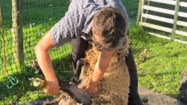 你的羊绒大衣来了