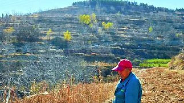 #农村生活 #田间地头走一走 #走进彩石街道，王家庄的王大叔。父亲的责任，是撑起家的天空，担当起生活