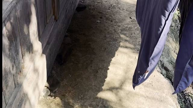 晒好被子，晚上盖着舒服