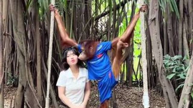 泰国网红猩猩与游客合影 #抖音看世界 #神奇动物在抖音 #国外视频分享 #猴子成精 #奇妙的动物