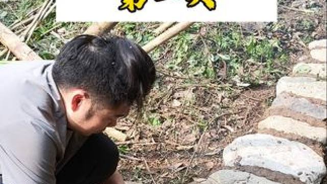 荒谷40天，一把刀，一包盐，第一天 荒谷户外生存，一把刀一包盐，狼能坚持多久，第一天大狼失败了多次，