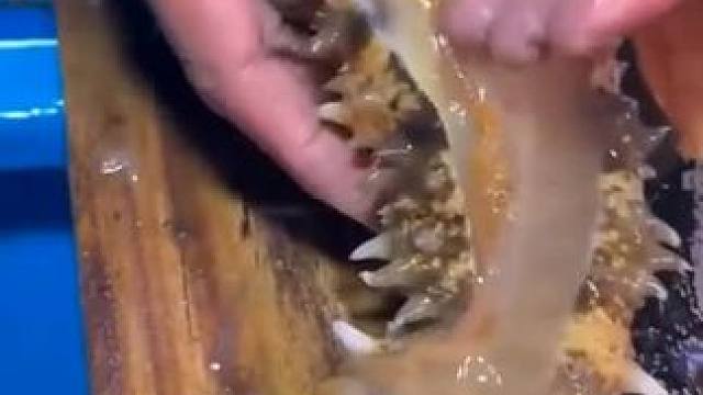 我发布了一个新视频，快来围观吧！