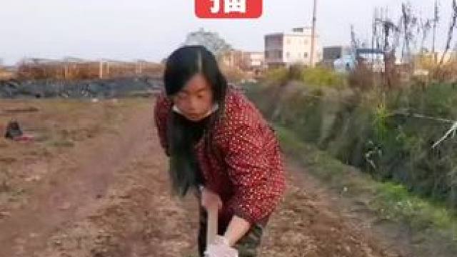 山卡卡里的农村大姐一部手机直播30天变现2000+新人苜播一个小工具直接拿去用#宝妈创业#新人首播#