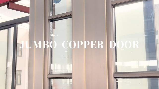 铜框质感玻璃通透，轻奢高级直接拉满#中宝天一铜门 #别墅门 #铜门 #上海