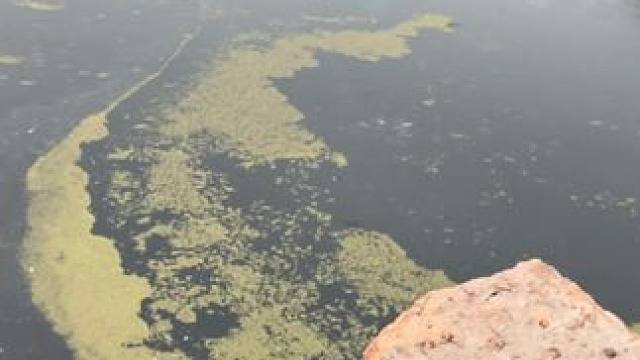 每日一贱，就这样吧！