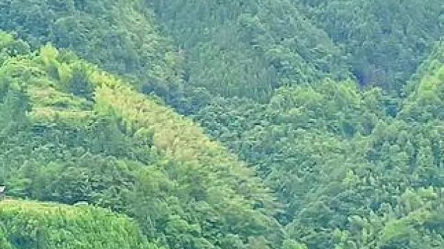 #大山里的原生态 #大山深处自然美山清水秀好风光