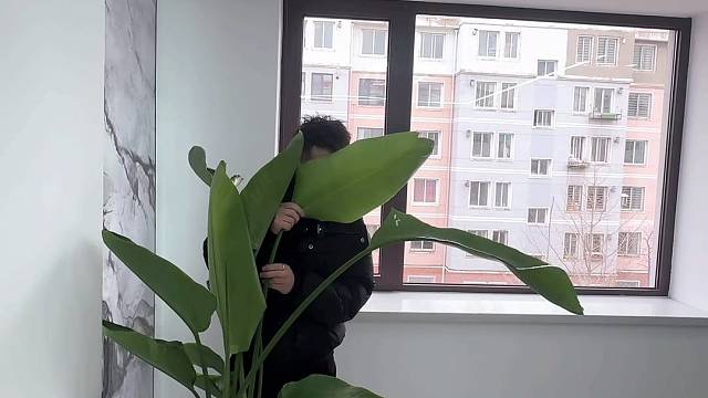 我躲在花盆后面，看到我了么